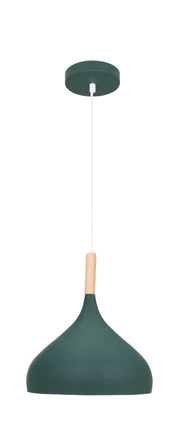 Подвесной светильник Moderli ELINE V11446-1P