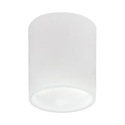 Точечный накладной светильник Lightstar SOLIDO E27 216626