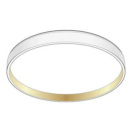 Потолочный светильник Citilux ENZO CL753450G