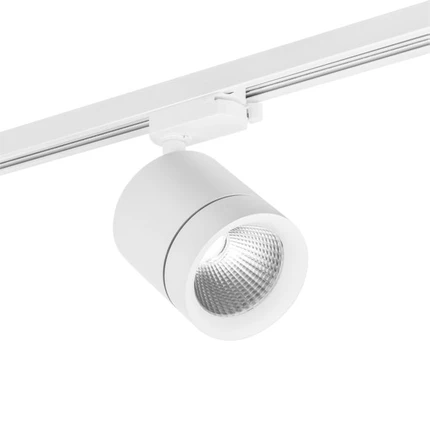 Трековый светильник Lightstar CANNO 301262