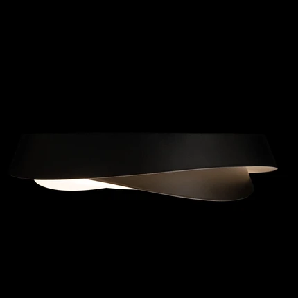 Потолочный светильник Loft It PETALE 10256 Black