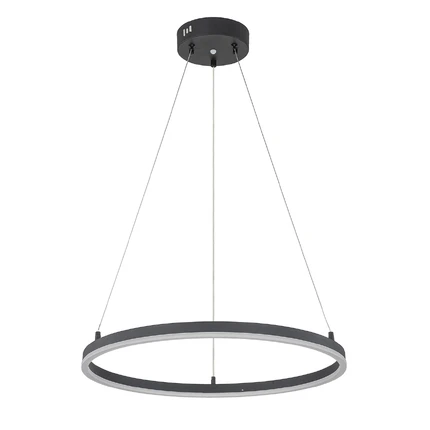 Подвесная люстра Escada VOID 10254/1LED Black APP