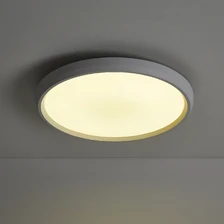 Фото потолочные светильники FR6211CL-L24W