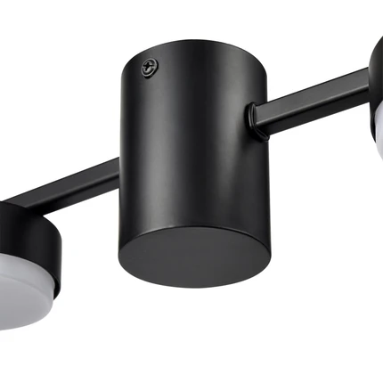 Потолочная люстра Lumion SANATA 8187/6C