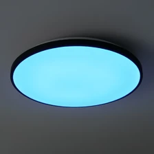 Фото потолочные светильники FR6211CL-L24B