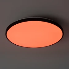 Фото потолочные светильники FR6211CL-L24B