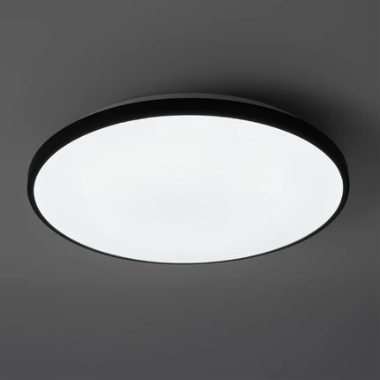 Потолочный светильник Freya OBELLE FR6211CL-L24B