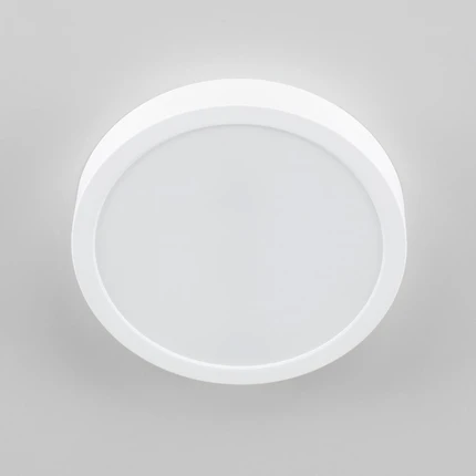 Потолочный светильник Citilux ГАЛС CL5522N