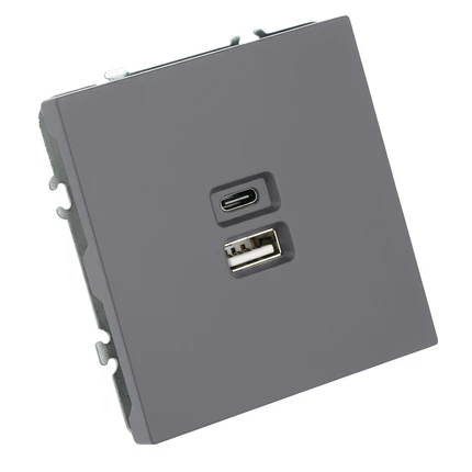 Розетка USB + Type C Stekker ЭМИЛИ 49957