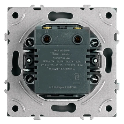 Розетка USB + Type C Stekker ЭМИЛИ 49957