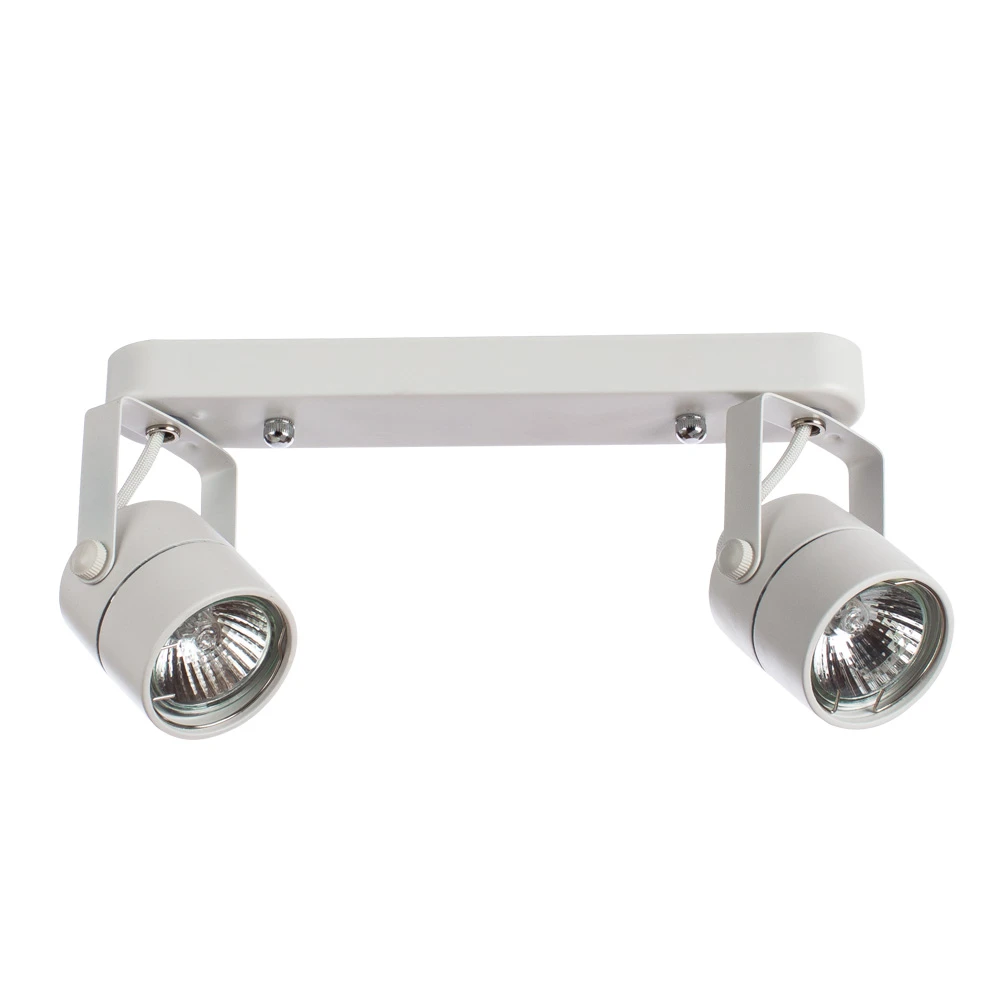 Спот Arte Lamp LENTE A1310PL-2WH