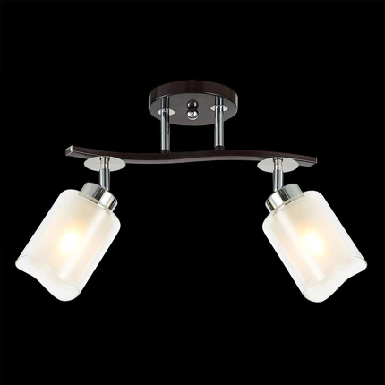 Спот Citilux ФОРТУНА CL156122