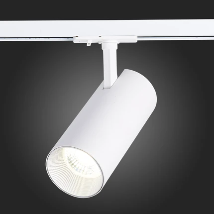 Трековый светильник ST Luce MONO ST350.546.30.36