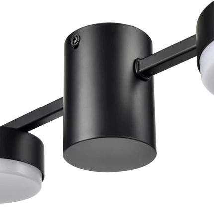 Потолочная люстра Lumion SANATA 8187/8C