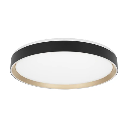 Потолочный светильник Citilux BOSS CL751451G