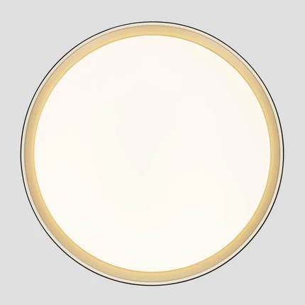 Потолочный светильник Citilux BOSS CL751451G