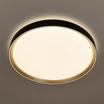 Потолочный светильник Citilux BOSS CL751451G