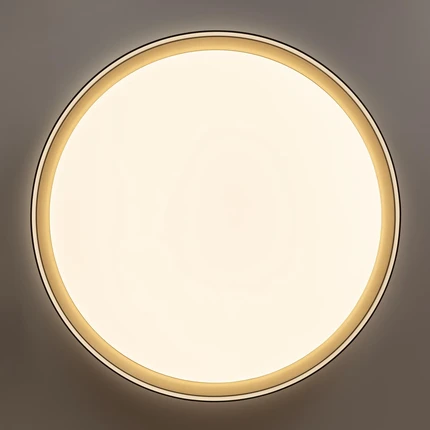Потолочный светильник Citilux BOSS CL751451G