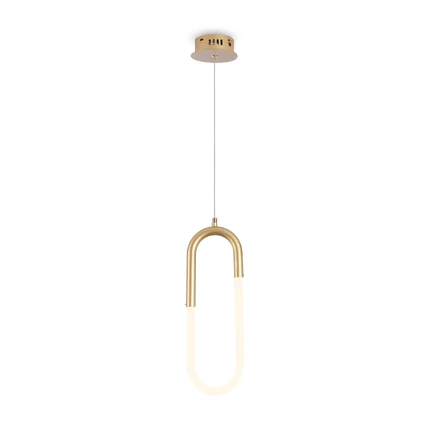 Подвесной светильник Freya MAGNET FR6106PL-L13G
