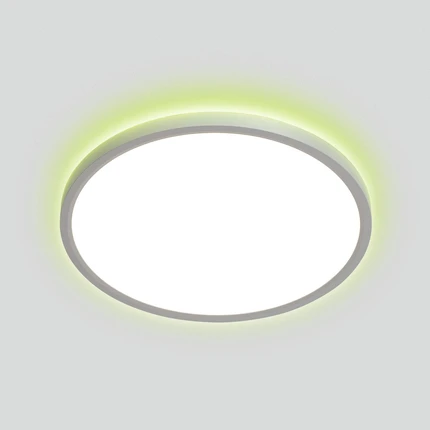 Потолочный светильник Citilux NORMA CL749320