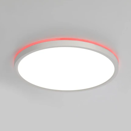 Потолочный светильник Citilux NORMA CL749320