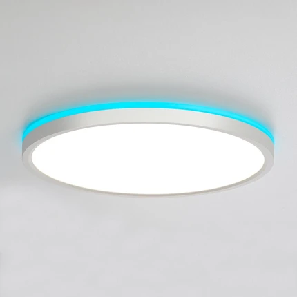 Потолочный светильник Citilux NORMA CL749320