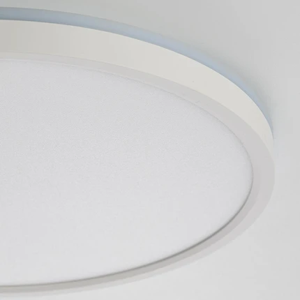 Потолочный светильник Citilux NORMA CL749320