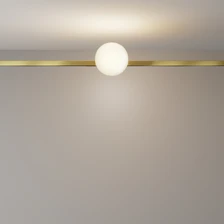 Фото магнитные трековые светильники TR229-1-5W3K-BS