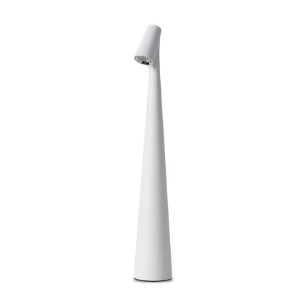 Декоративная настольная лампа Freya CLAM FR6188TL-L3W
