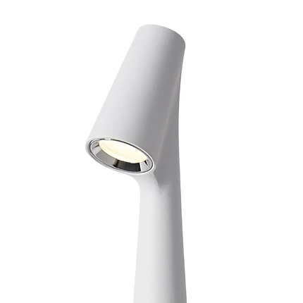 Декоративная настольная лампа Freya CLAM FR6188TL-L3W