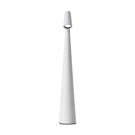 Декоративная настольная лампа Freya CLAM FR6188TL-L3W