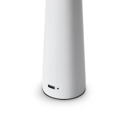 Декоративная настольная лампа Freya CLAM FR6188TL-L3W