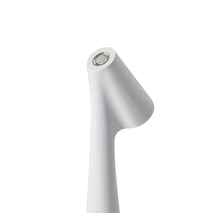 Декоративная настольная лампа Freya CLAM FR6188TL-L3W