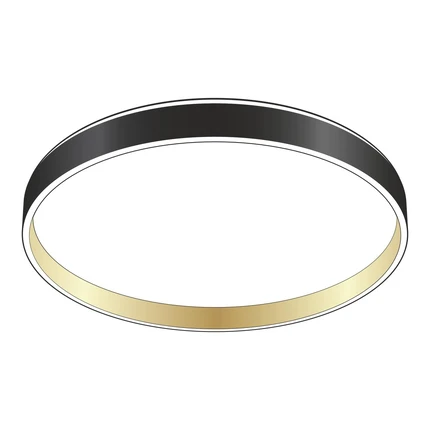 Потолочный светильник Citilux ENZO CL753451G