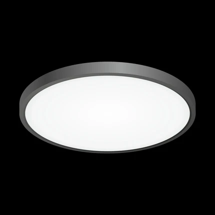 Потолочный светильник Citilux БЕЙСИК CL738321V