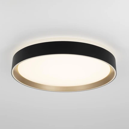 Потолочный светильник Citilux BOSS CL751351G