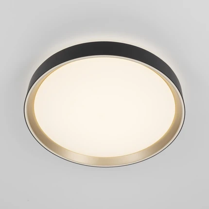 Потолочный светильник Citilux BOSS CL751351G