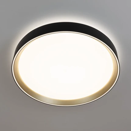 Потолочный светильник Citilux BOSS CL751351G