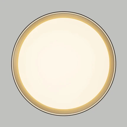 Потолочный светильник Citilux BOSS CL751351G
