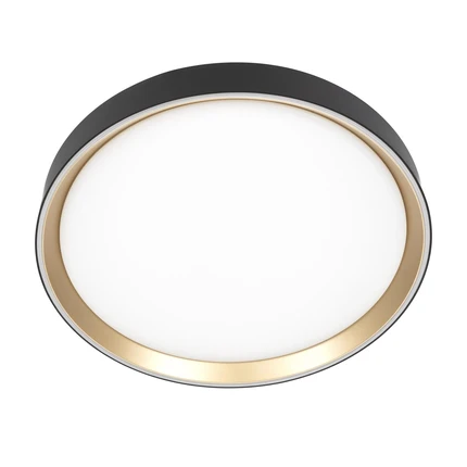Потолочный светильник Citilux BOSS CL751351G