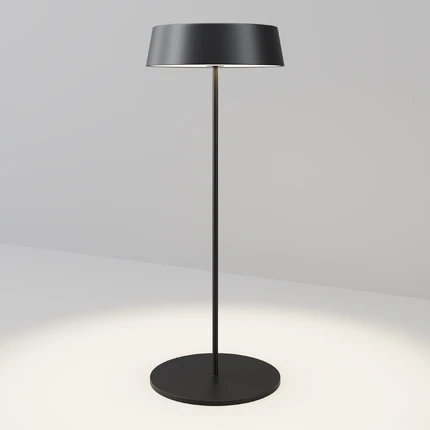 Уличный настольный светильник Maytoni PORTO O540TL-L2BCCT
