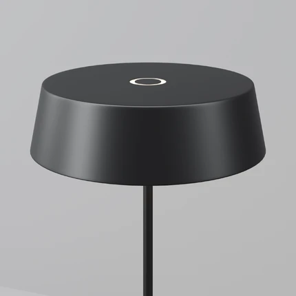 Уличный настольный светильник Maytoni PORTO O540TL-L2BCCT