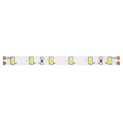 Светодиодная лента LED STRIP 24V 6000K 4,8W/m 5м Maytoni 10141