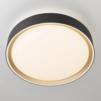 Потолочный светильник Citilux BOSS CL751251G