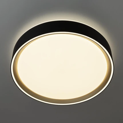 Потолочный светильник Citilux BOSS CL751251G