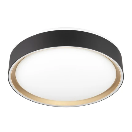 Потолочный светильник Citilux BOSS CL751251G