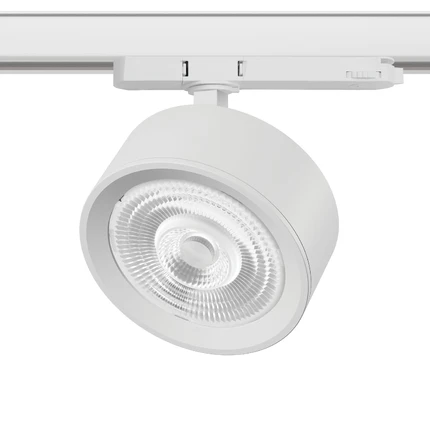 Трековый светильник Lightstar ALTA PRO A5646QT60G
