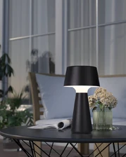 Фото декоративные настольные лампы 75796