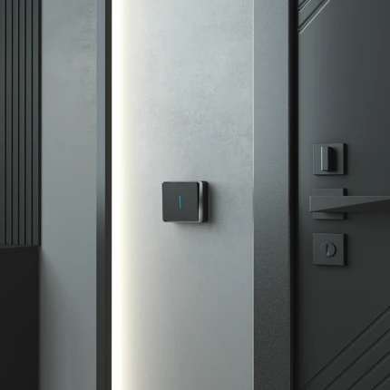 Выключатель одноклавишный с подсветкой Werkel GALLANT W5010135 4690389163845