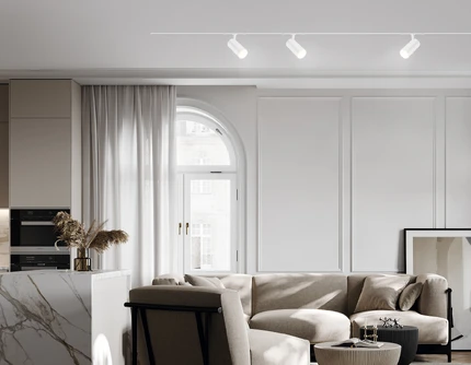 Магнитный трековый светильник Ambrella light MAGNETIC 10 48В GL2309